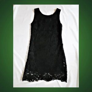 Black Lace Overlay Dress